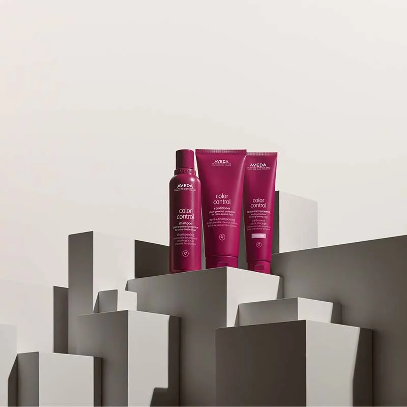 Aveda Color Control Leave In Treatment Light Travel Size Discontinued
