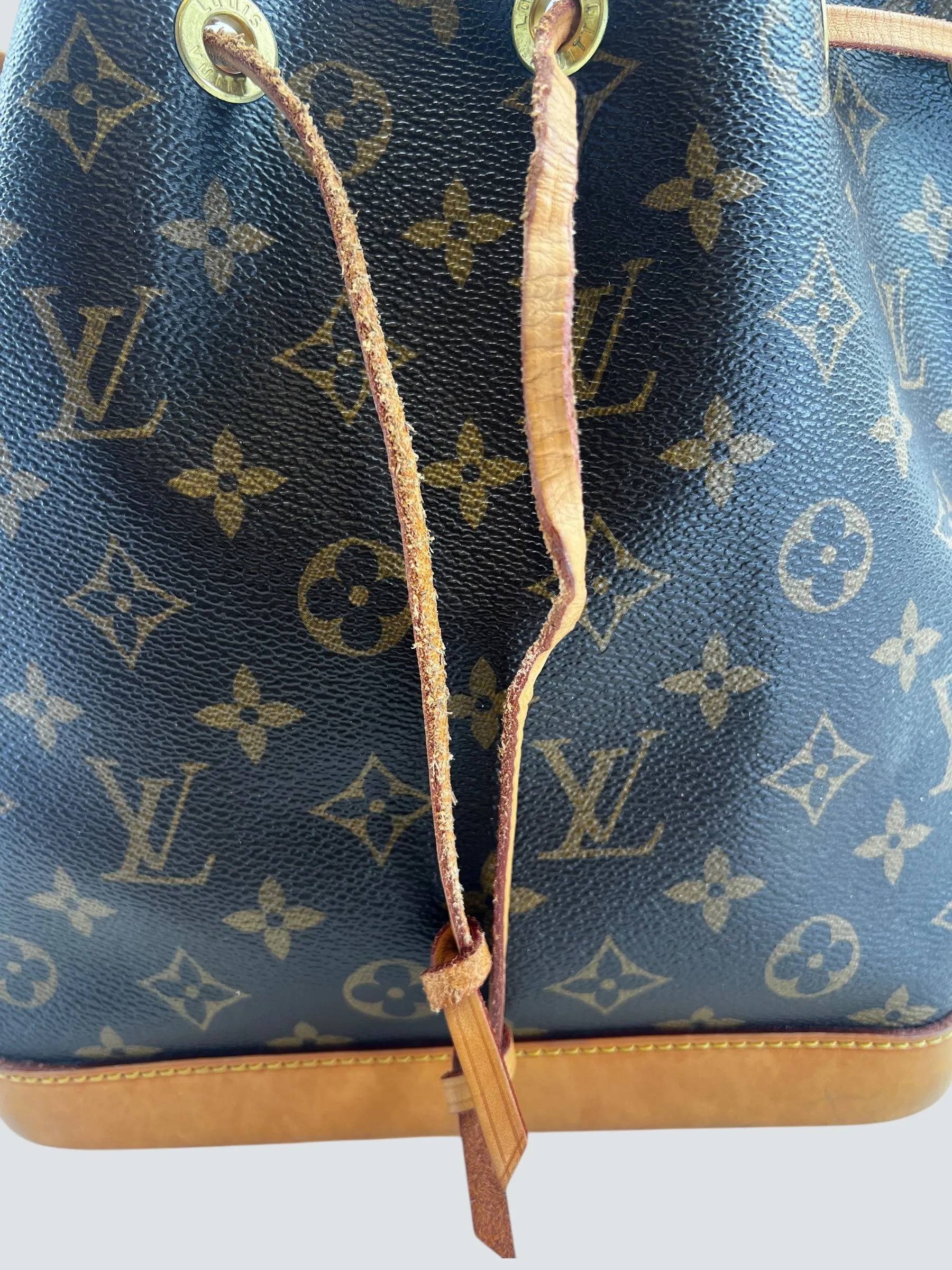 Louis Vuitton Monogram Canvas Noe Bucket Bag