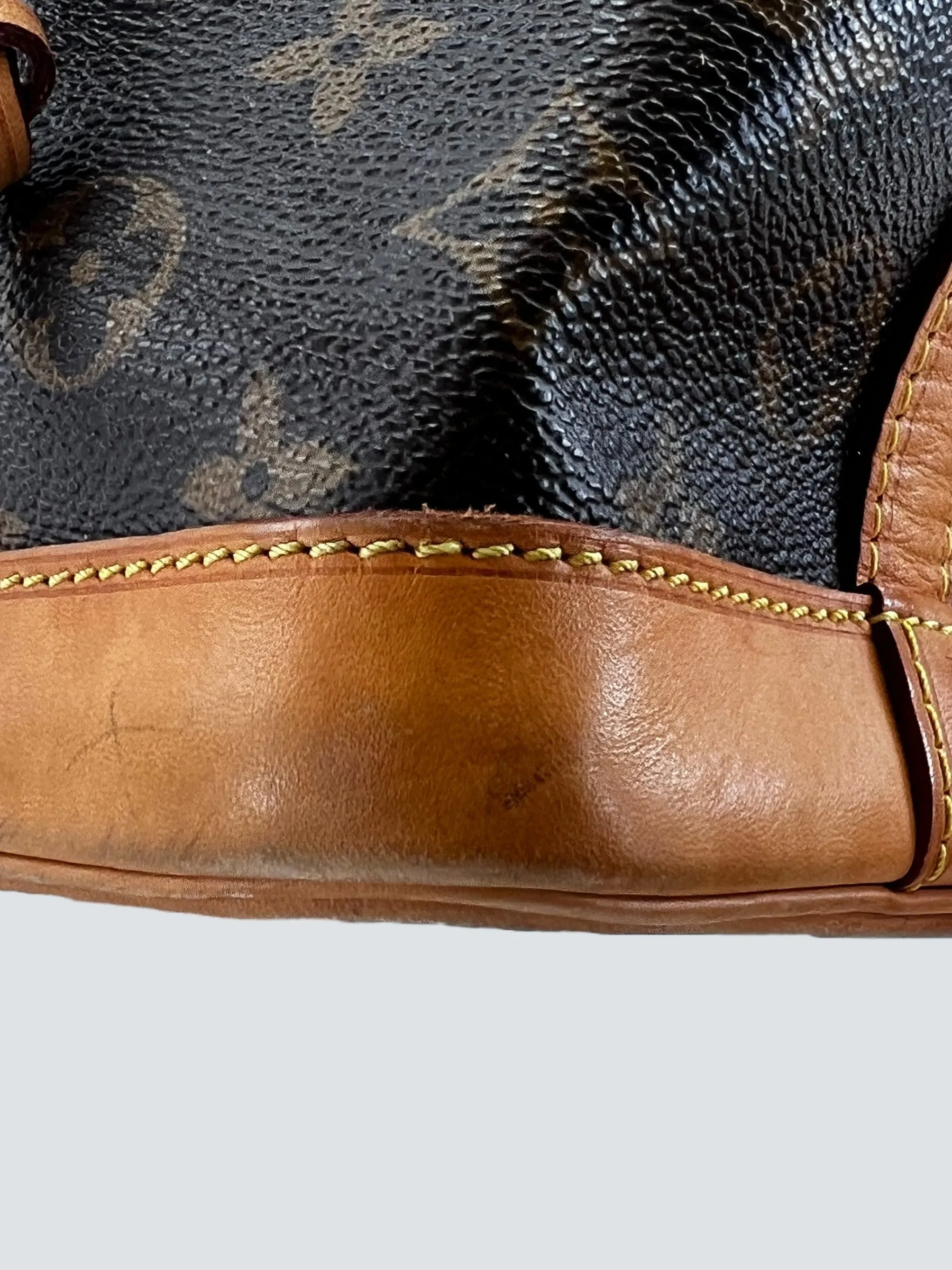 Louis Vuitton Monogram Canvas Noe Bucket Bag