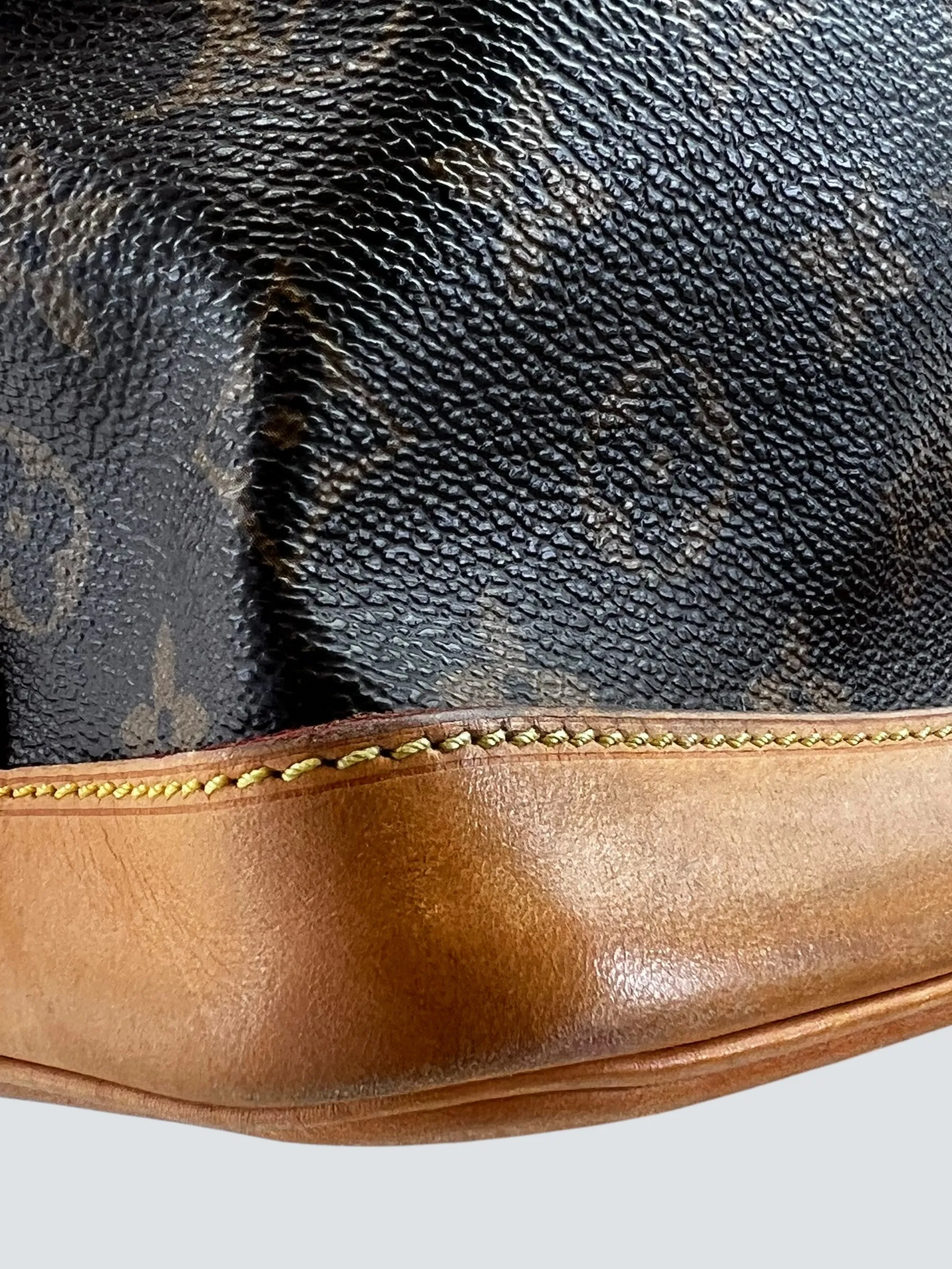 Louis Vuitton Monogram Canvas Noe Bucket Bag