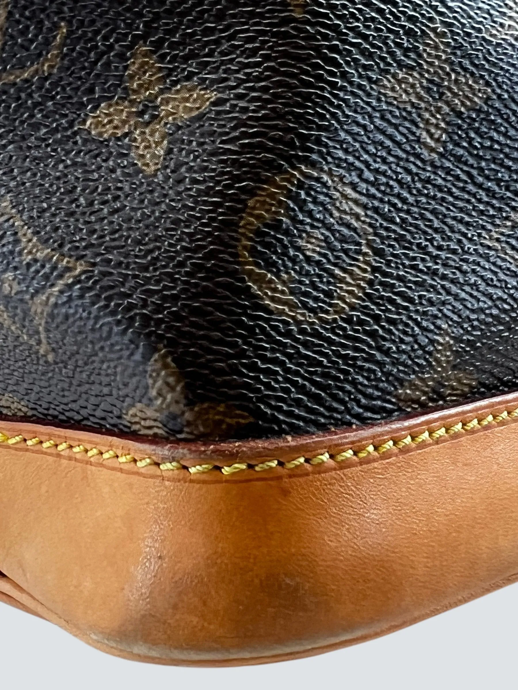 Louis Vuitton Monogram Canvas Noe Bucket Bag