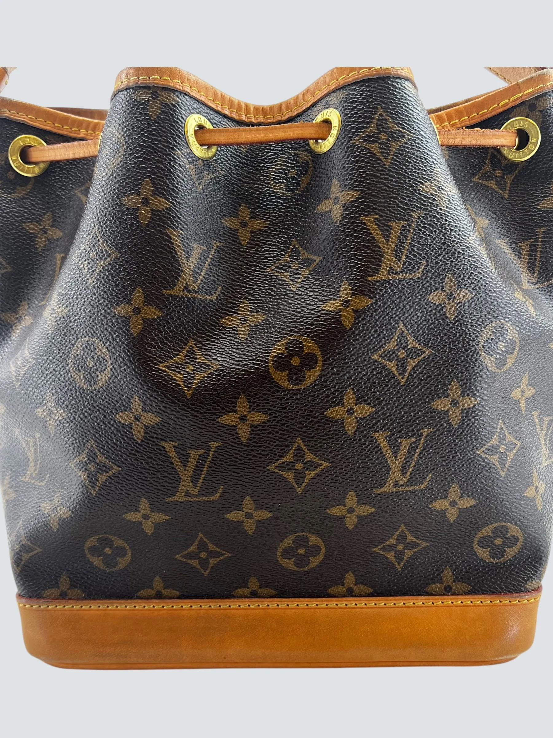 Louis Vuitton Monogram Canvas Noe Bucket Bag